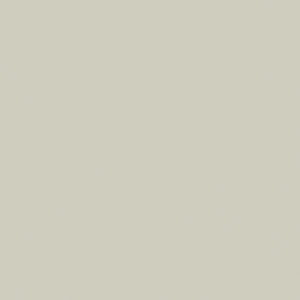 Couleur discontinuée 162 Gris Saule, fini Mat
