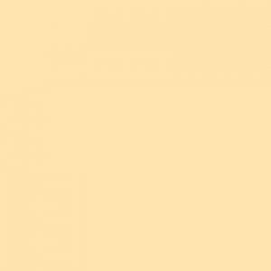 Couleur discontinuée 5005 Jaune Pâle, fini Lustré