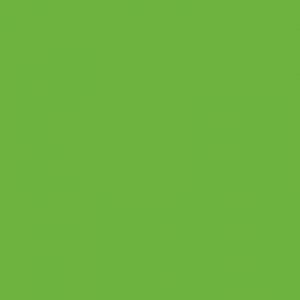 Couleur discontinuée 5008 Vert pomme, fini Lustré
