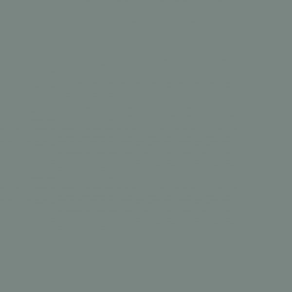Couleur discontinuée 5309 Vert lichen 2D PET, fini Mat