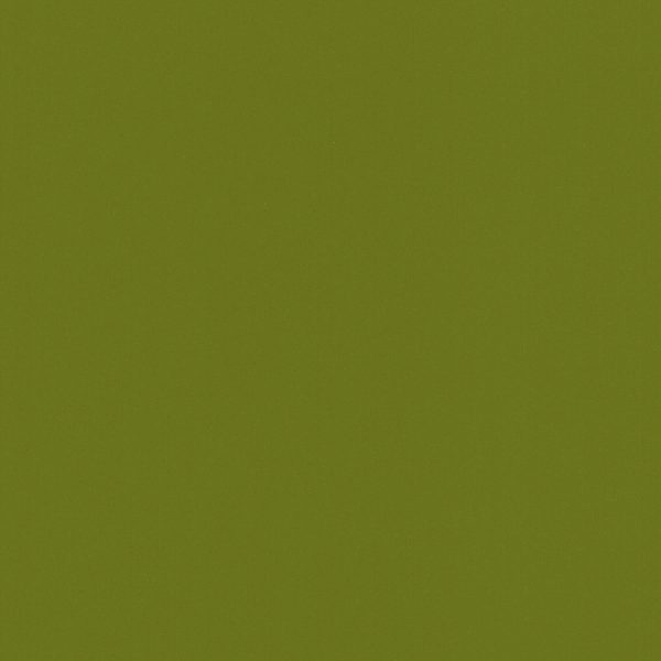 Couleur discontinuée 84 Vert Métallique Lustré, fini Lustré