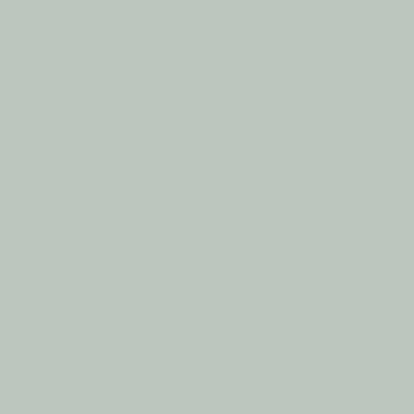 170 Gris pâle lustré