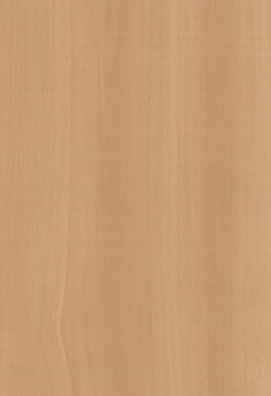 2006 Peuplier ocre
