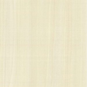 2007 Peuplier Poplar