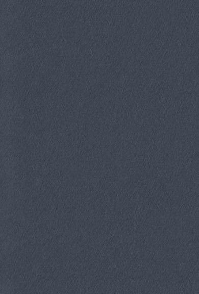 2020 Acier brossé bleu