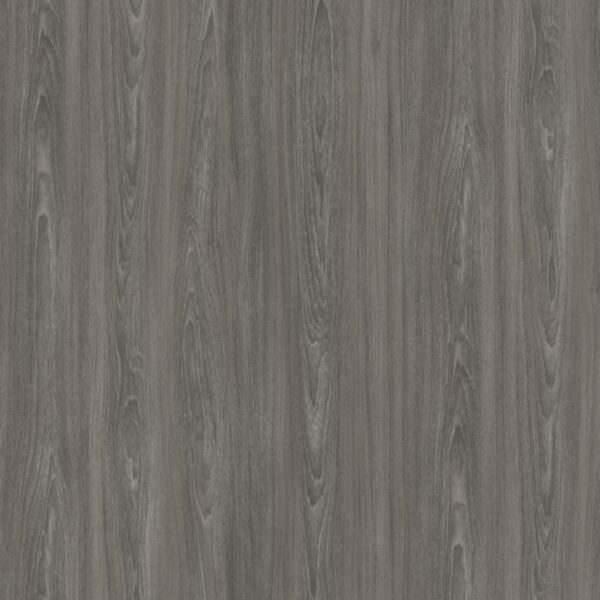 291 Gris des Rocheuses