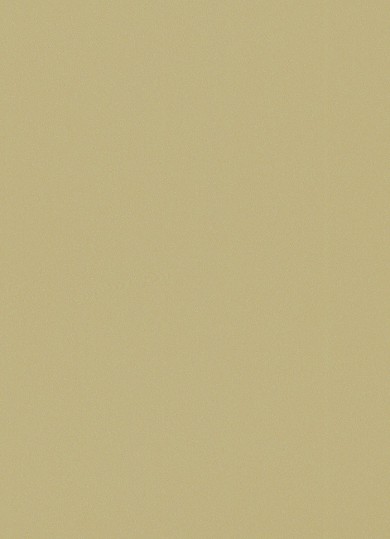 5122 Beige métallique SR