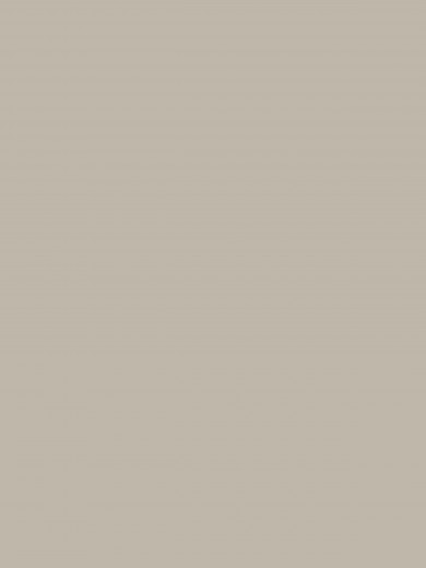 5302 Gris pâle 2D PET