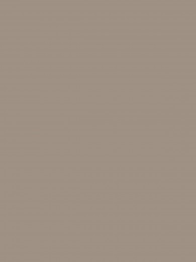 5303 Beige gris 2D PET