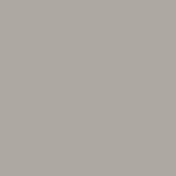 5311 Gris brouillard 2D PET